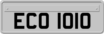 ECO1010