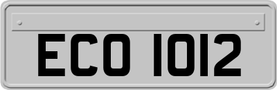 ECO1012