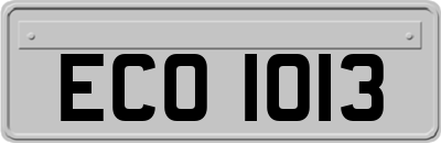 ECO1013