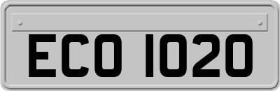 ECO1020