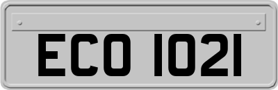 ECO1021