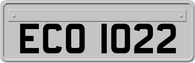 ECO1022