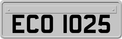 ECO1025
