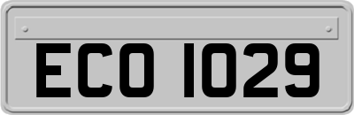 ECO1029