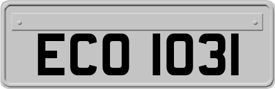 ECO1031