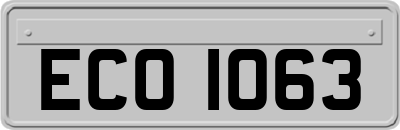 ECO1063