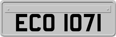 ECO1071