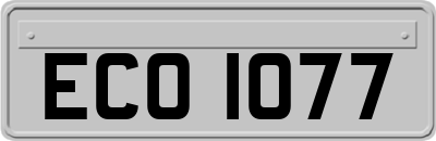 ECO1077