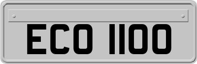 ECO1100