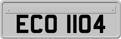 ECO1104