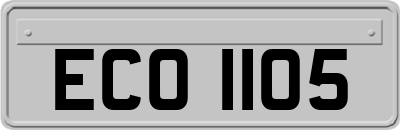 ECO1105