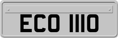 ECO1110