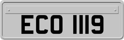 ECO1119