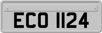 ECO1124
