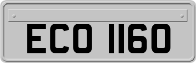 ECO1160