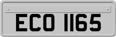 ECO1165