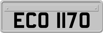 ECO1170