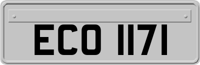 ECO1171