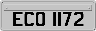 ECO1172