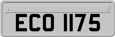 ECO1175