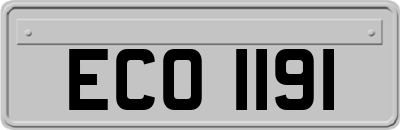 ECO1191