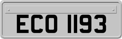 ECO1193