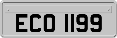ECO1199