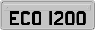ECO1200