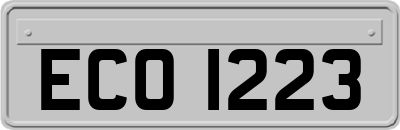 ECO1223