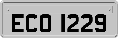 ECO1229
