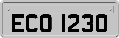 ECO1230