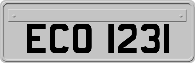 ECO1231