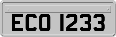 ECO1233