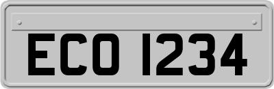 ECO1234