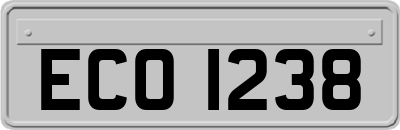ECO1238
