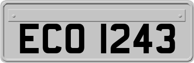 ECO1243