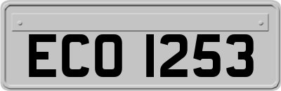 ECO1253