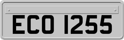 ECO1255