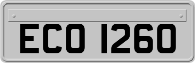 ECO1260