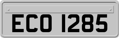 ECO1285