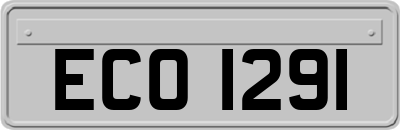 ECO1291