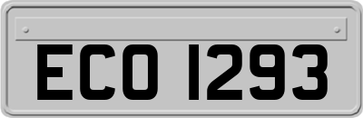 ECO1293