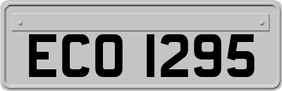 ECO1295