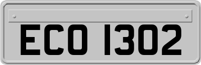 ECO1302