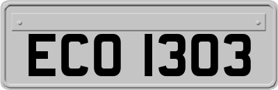 ECO1303