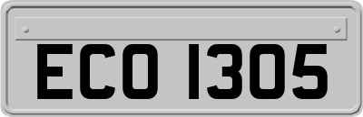 ECO1305