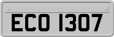 ECO1307