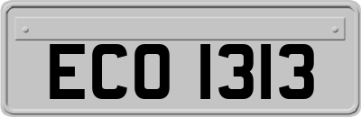 ECO1313