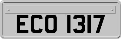 ECO1317
