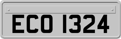 ECO1324